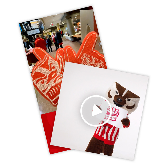 Day of the Badger GIFs and videos