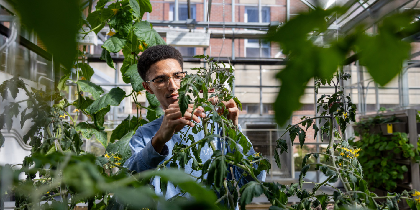 Student cultivating a plant